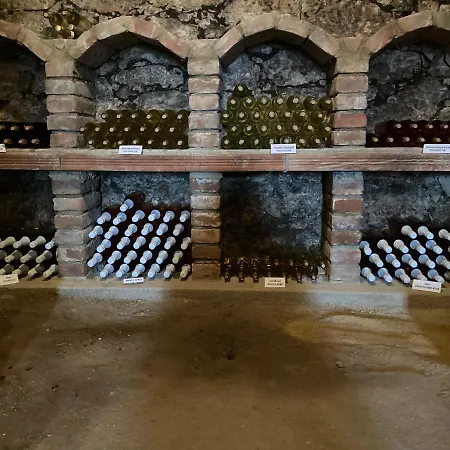 Deduv Sklep 赫洛霍韦茨